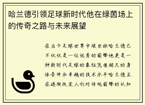 哈兰德引领足球新时代他在绿茵场上的传奇之路与未来展望